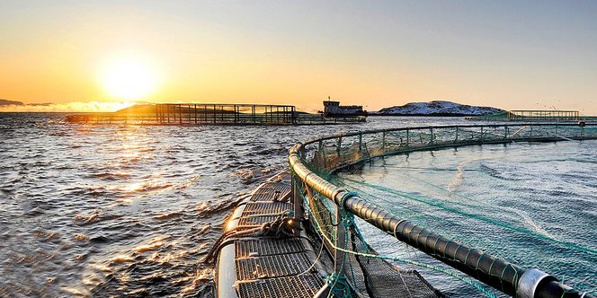 LAPP Norway (Miltronic) har levert sjøkabler til norsk havbruk i over 15 år LAPP Norway (Miltronic) har levert sjøkabler til norsk havbruk i over 15 år