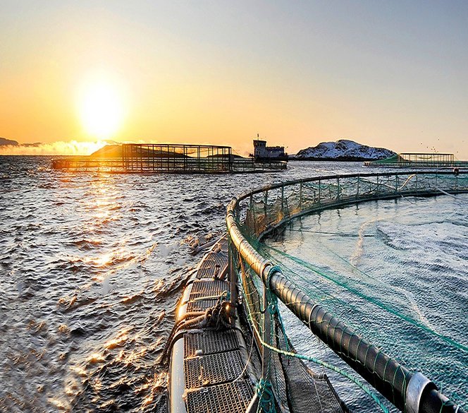LAPP Norway (Miltronic) har levert sjøkabler til norsk havbruk i over 15 år